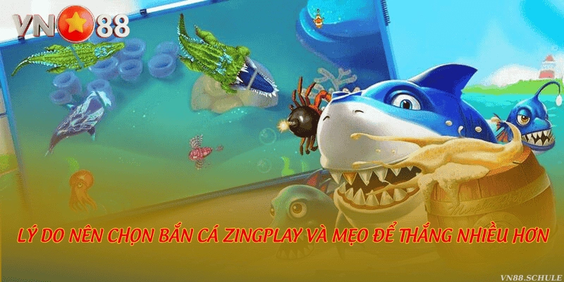 Lý do nên chọn Bắn cá Zingplay và mẹo để thắng nhiều hơn