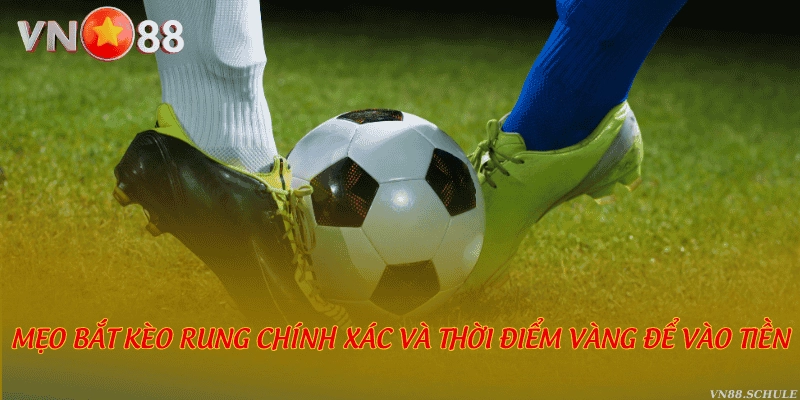 Mẹo bắt kèo rung chính xác và thời điểm vàng để vào tiền